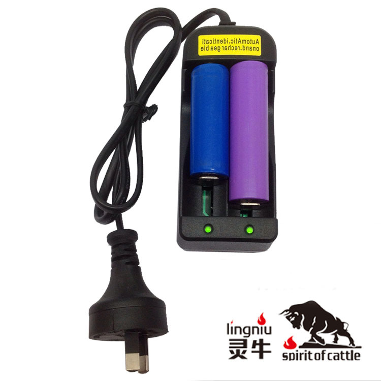 i澳规18650双充 RCR123A电池充电器 正负极智能识别 双通道