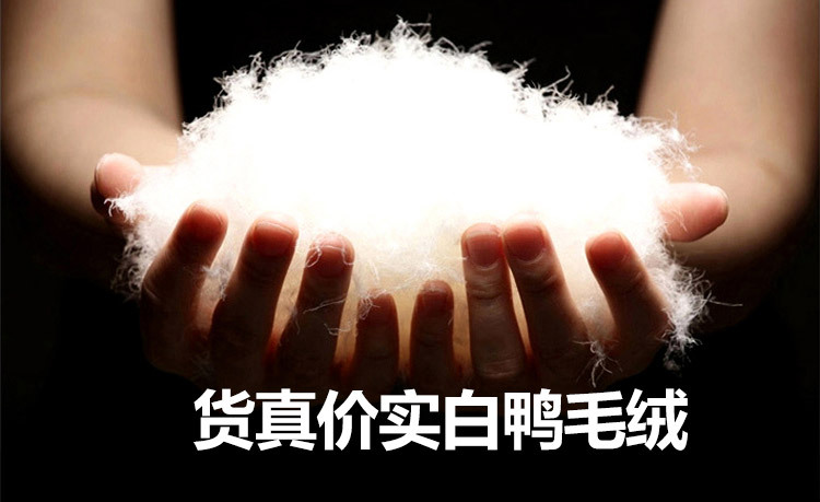 Gilet femme - Ref 3434617 Image 11