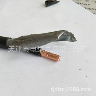 KVVP2-22�~�������z�b������| ��׼��� �����xُ