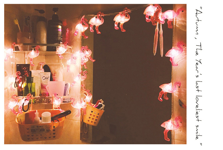 火烈鸟灯串详情_06