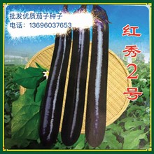 茄子的价格_今日最新茄子的价格行情走势