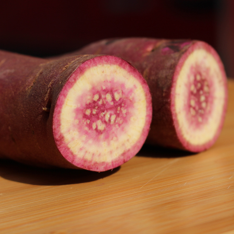 One piece On behalf of Guangdong Gaozhou Farm Auriventris fresh sweet potato Sweet potato flour Farm Sweet potato 5 catties