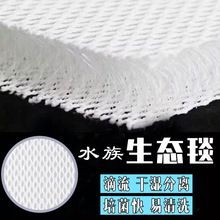 �~���^�V������ħ̺��ˮ�w�Sˮ�����^�V���^�V���τ��¼��g���B̺