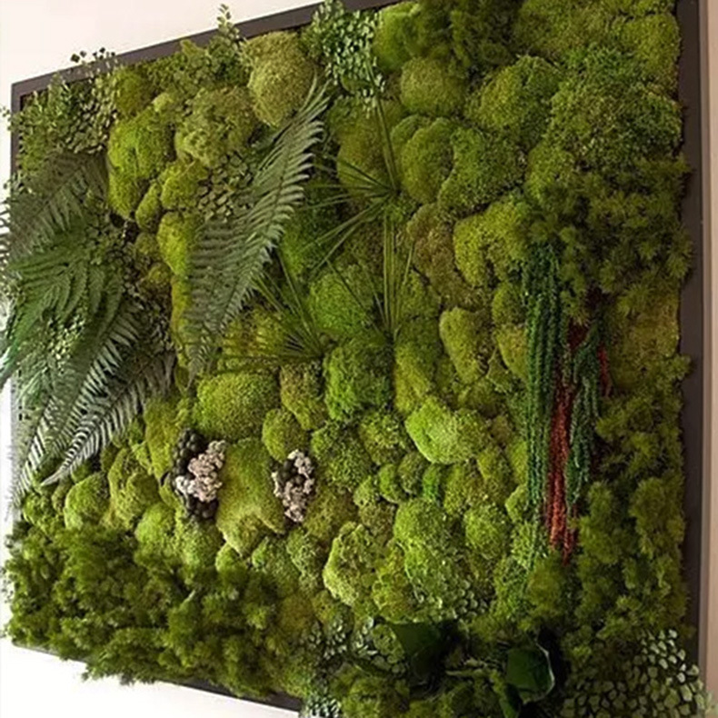 ��ֱֲ��ǽ���滨ǽֲ����������װ��ǽ����ɫֲ�����廯װ��