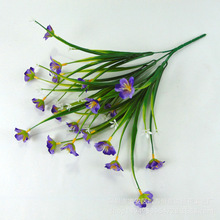 水草花 水草花品牌 图片 价格 水草花批发 阿里巴巴