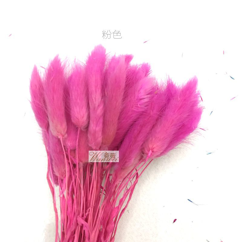 微信图片_20170521112219_副本