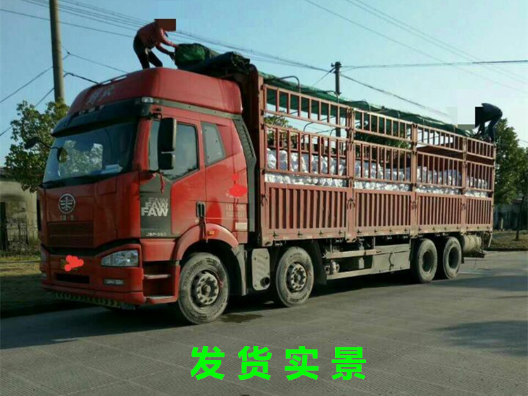 QQ图片20170415150935