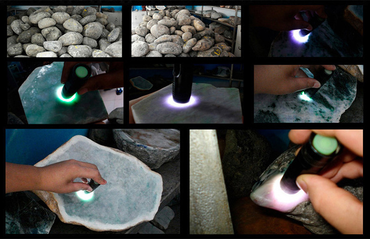 2795105738_1952671552