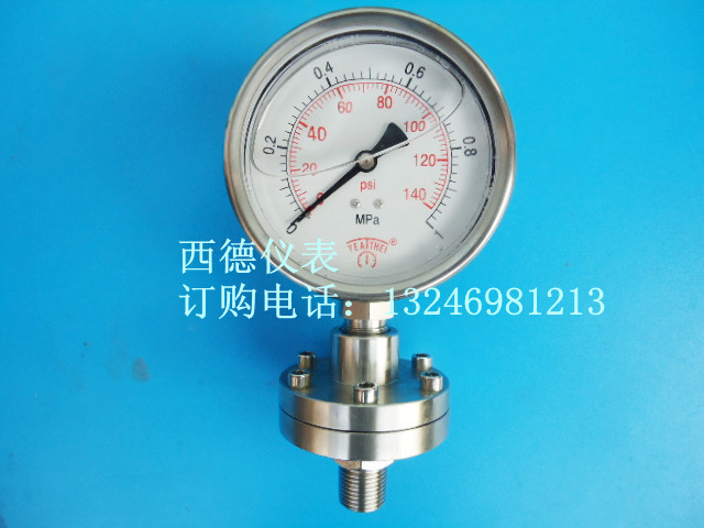 100MM径向0－1MPA全不锈钢螺纹式隔膜压力表，螺牙M20*1.5