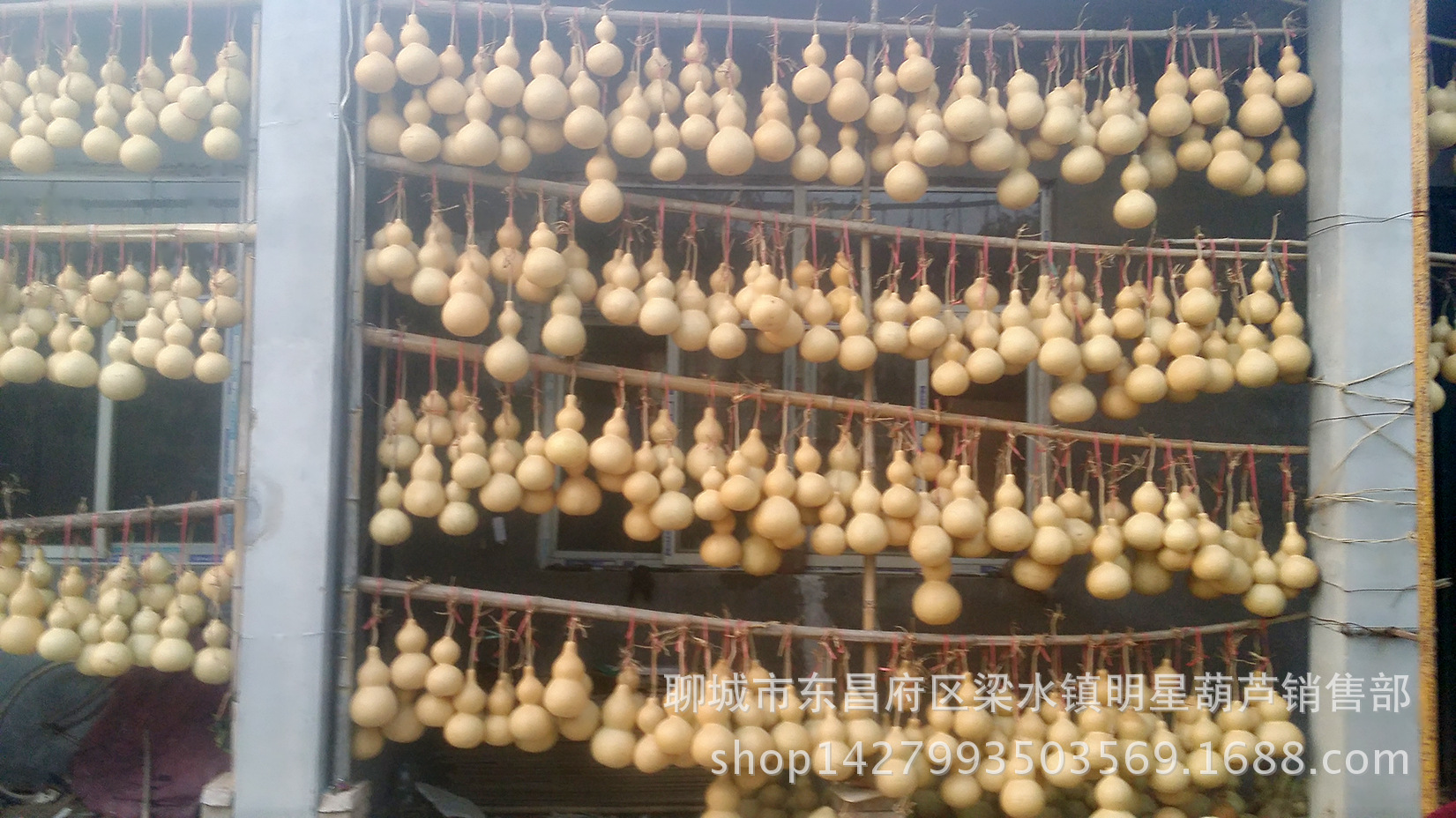 MYXJ_20161004173103_fast