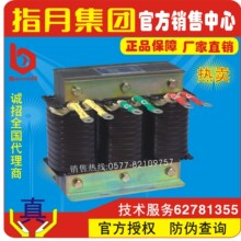 ָ�¼��ŵ�ѹ����/�˲��翹��CKSG-2.1/0.45/0.48/0.525-7%