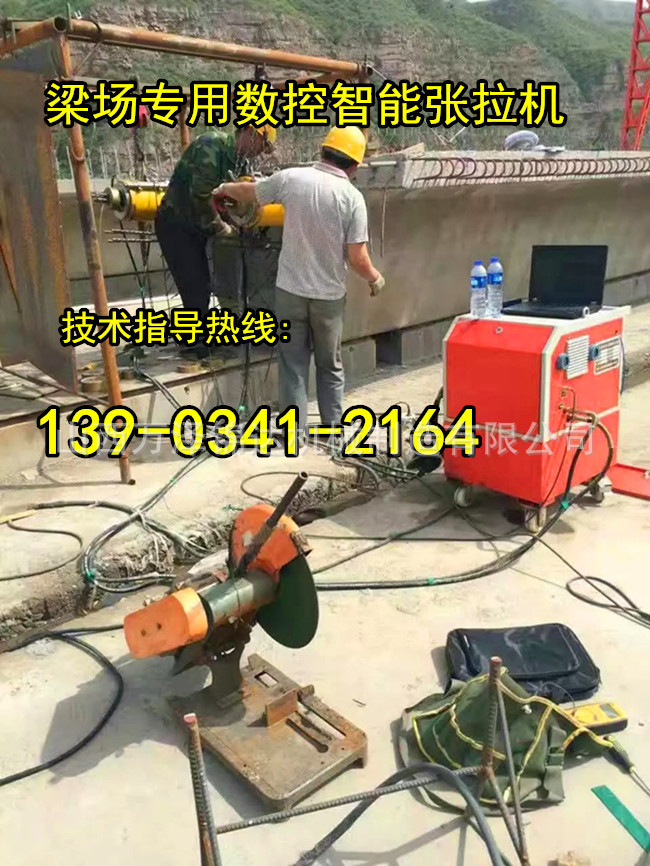 铁岭鞍山穿心式250吨千斤顶生产厂家