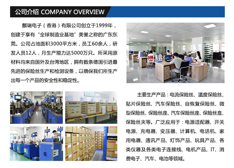 详情通版-公司介绍