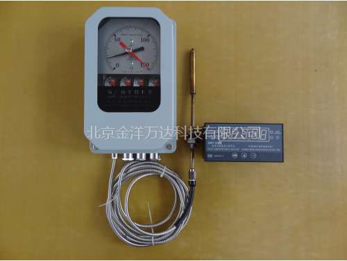 温度指示控制器厂家直销 型号:BWY-804J(TH)