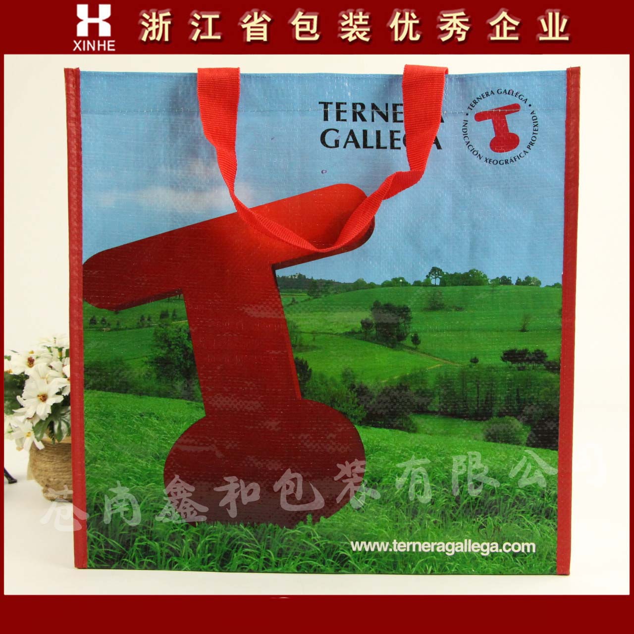 厂家专业定制彩色覆膜防水编织袋 PP编织防水手提袋印logo定做