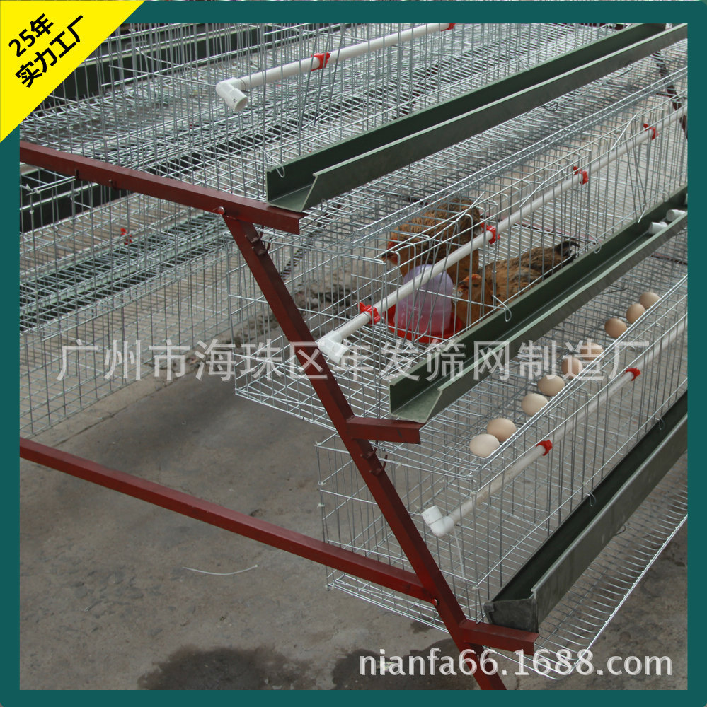 广东厂家直销阶梯式蛋鸡笼 热镀锌蛋鸡笼 A字型蛋鸡笼子三层四门