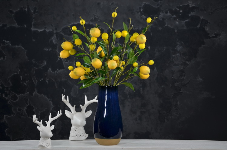 2-16黄色欧罗柠檬