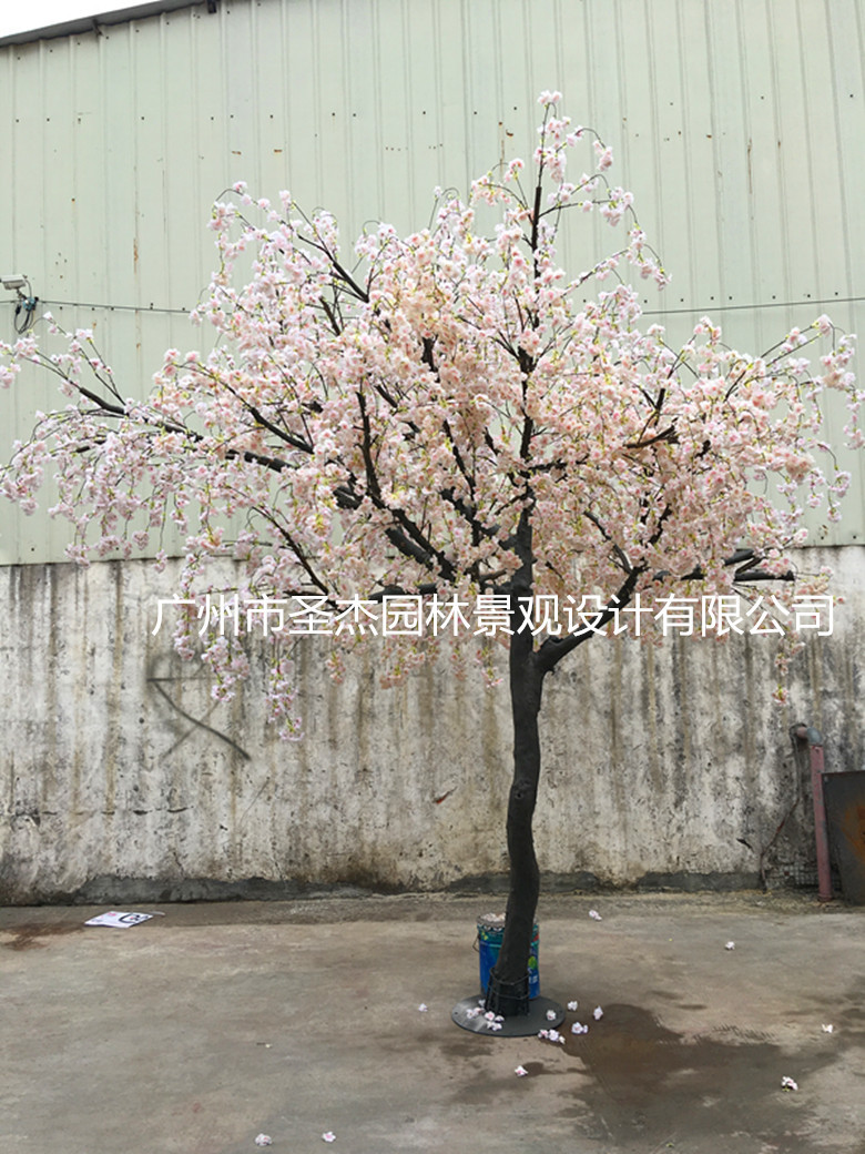 327796652403021551_副本