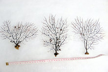 ���F��ؐ�������~���b��쾰�N����̨�ҾӔ[����С����ϵ