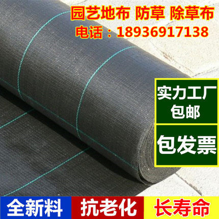 Weed Ground cloth ageing gardening Ground cloth Fruit Cloth membrane black Weed