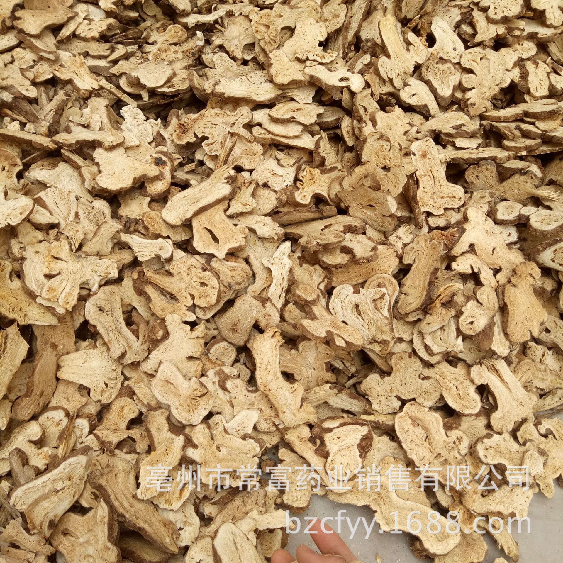 Dried White Atractylodes Rhizome Slices Bai Zhu 500g Traditional TCM Herb for Decoction and Soup quality and texture