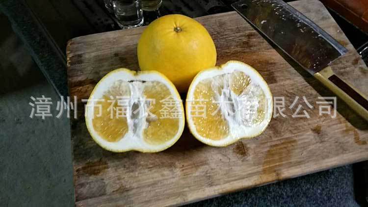 微信图片_20171211162241