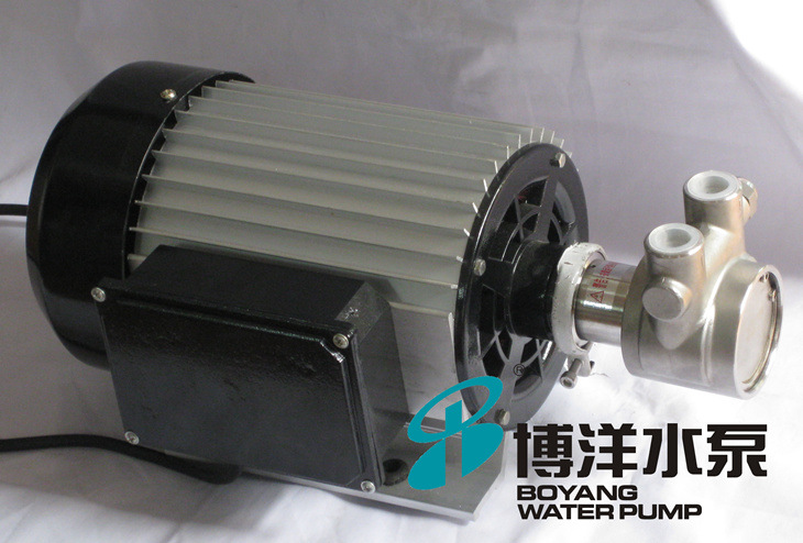 BGY-330系列不锈钢高压泵 不锈钢高压叶片泵 纯净水叶片泵 高压泵