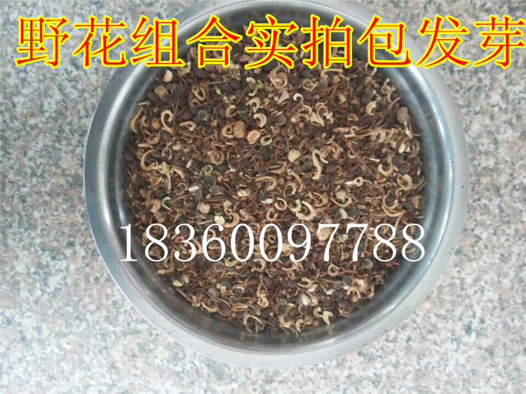 TB22GM0cXXXXXb8XXXXXXXXXXXX_!!