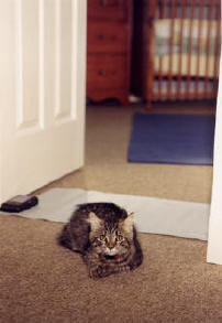 Pet mats, cat mats, dog mats, static blankets, prevent pets from harming the areas you protect 5