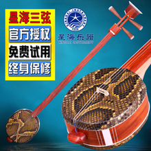 北京星海三弦花梨木三弦乐器民族弹拨乐器星海乐器