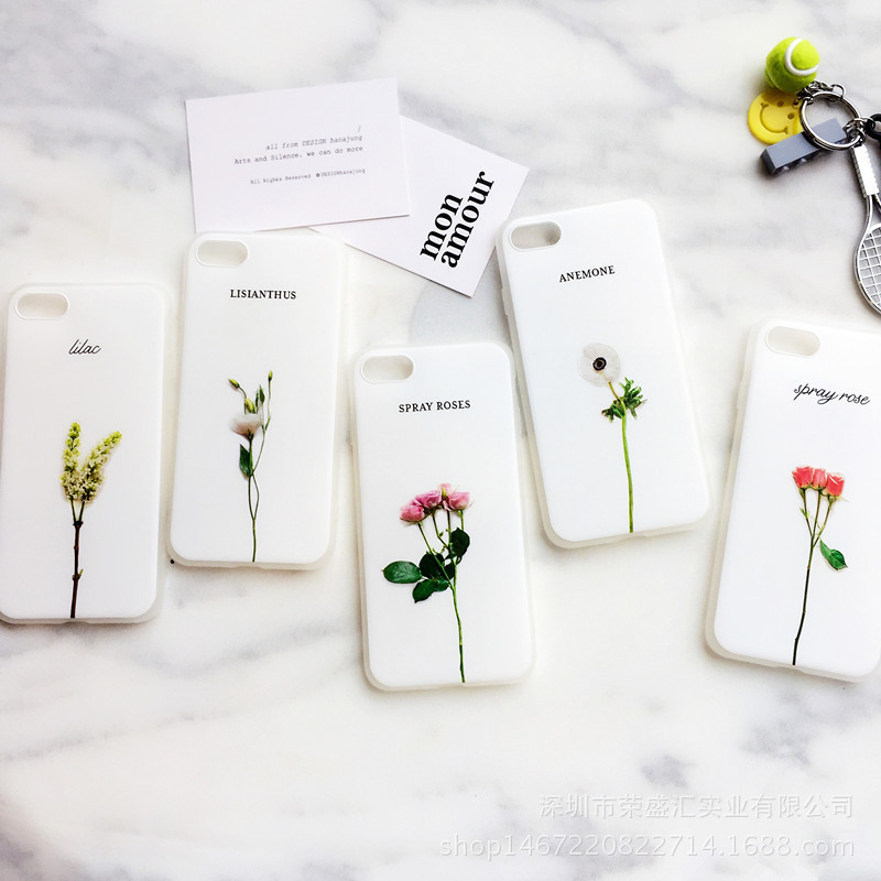 3676167583_1576710442