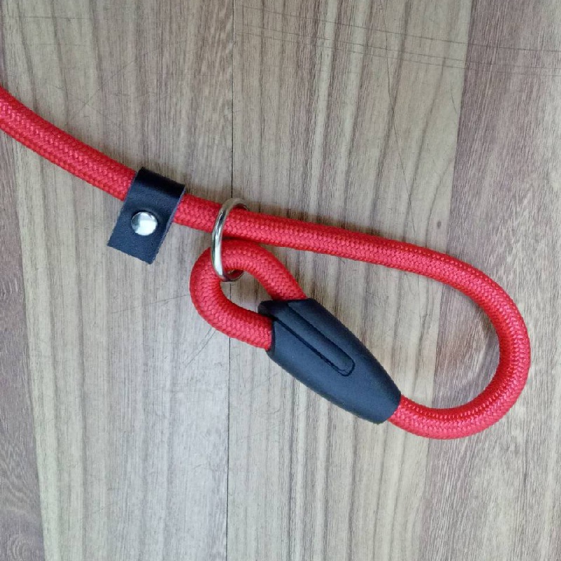 P Rope Dog Leash Small and Medium Dogs Teddy Golden Retriever Collar Walking Dog Training Nylon Pet Leash
