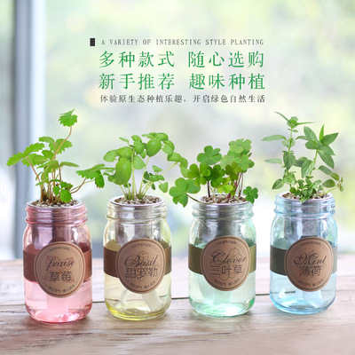 ECOEY桌面盆栽公司礼品来图定制LOGO彩色玻璃工艺品彩虹杯植物