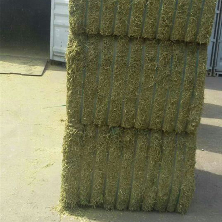 Imported Spanish Alfalfa Bales, New Arrivals in August Ports, More Than 20 Proteins