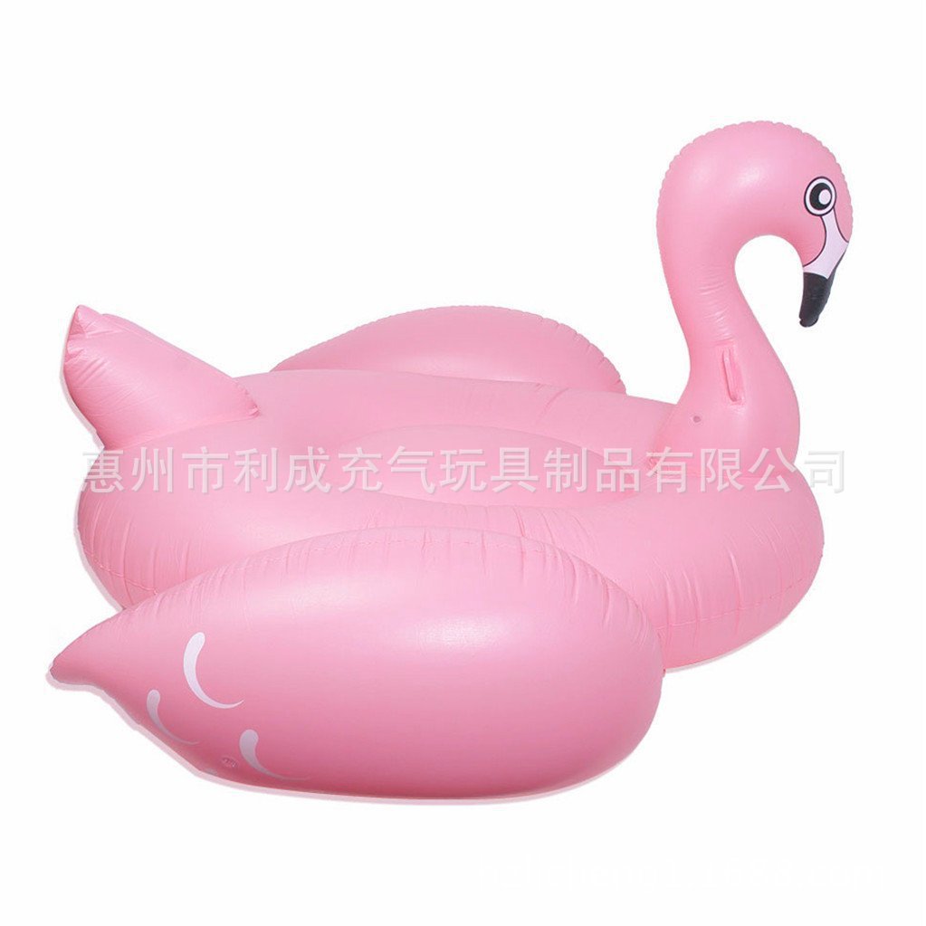 51WWyCgfb-L._SL1023_