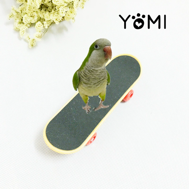 Попугай тренировочная игрушка большой попугай ноги головоломка скейтборд скейт