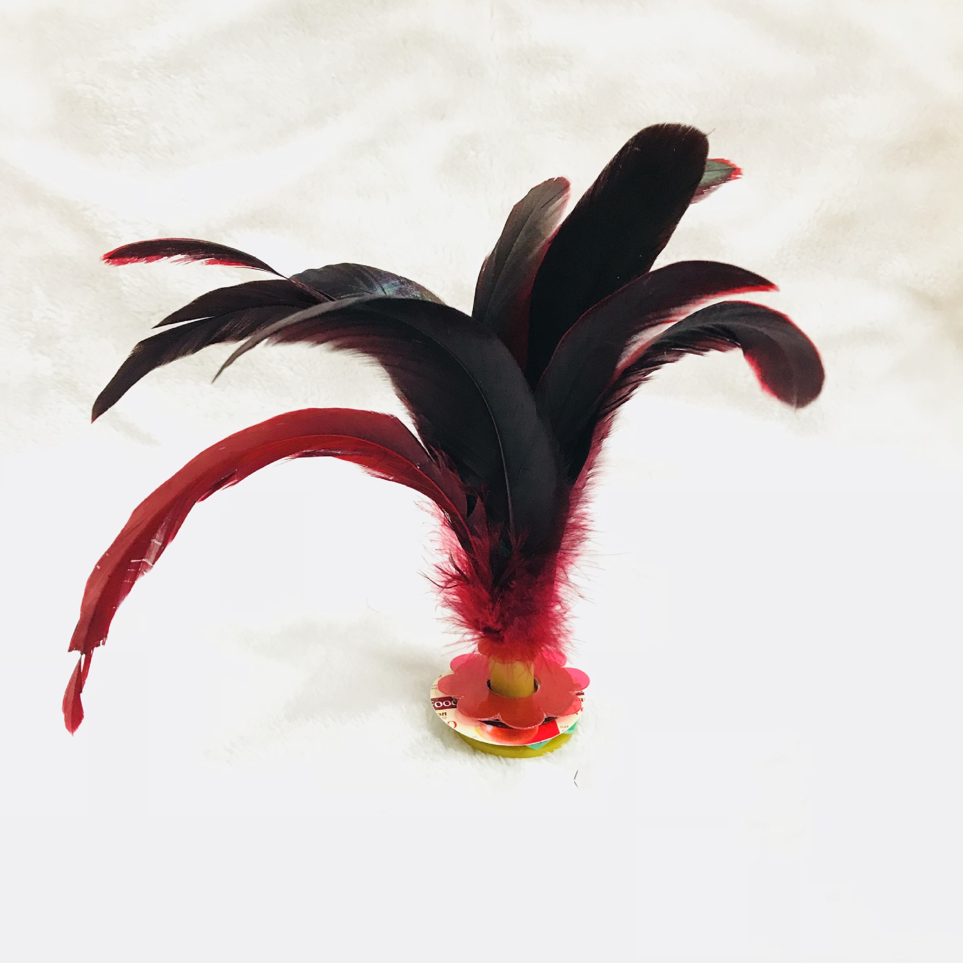 IMG_2346(20171215-105248)