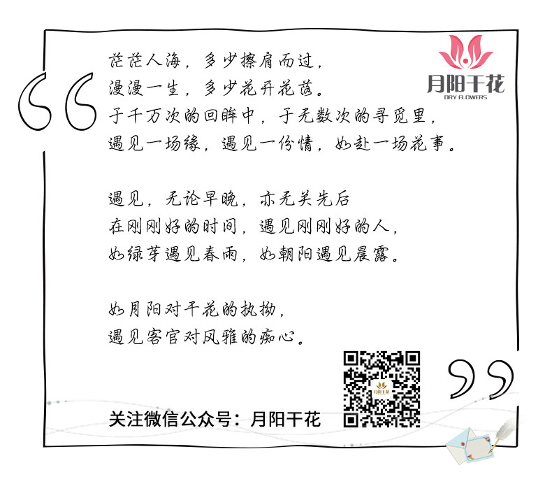 月阳干花详情页