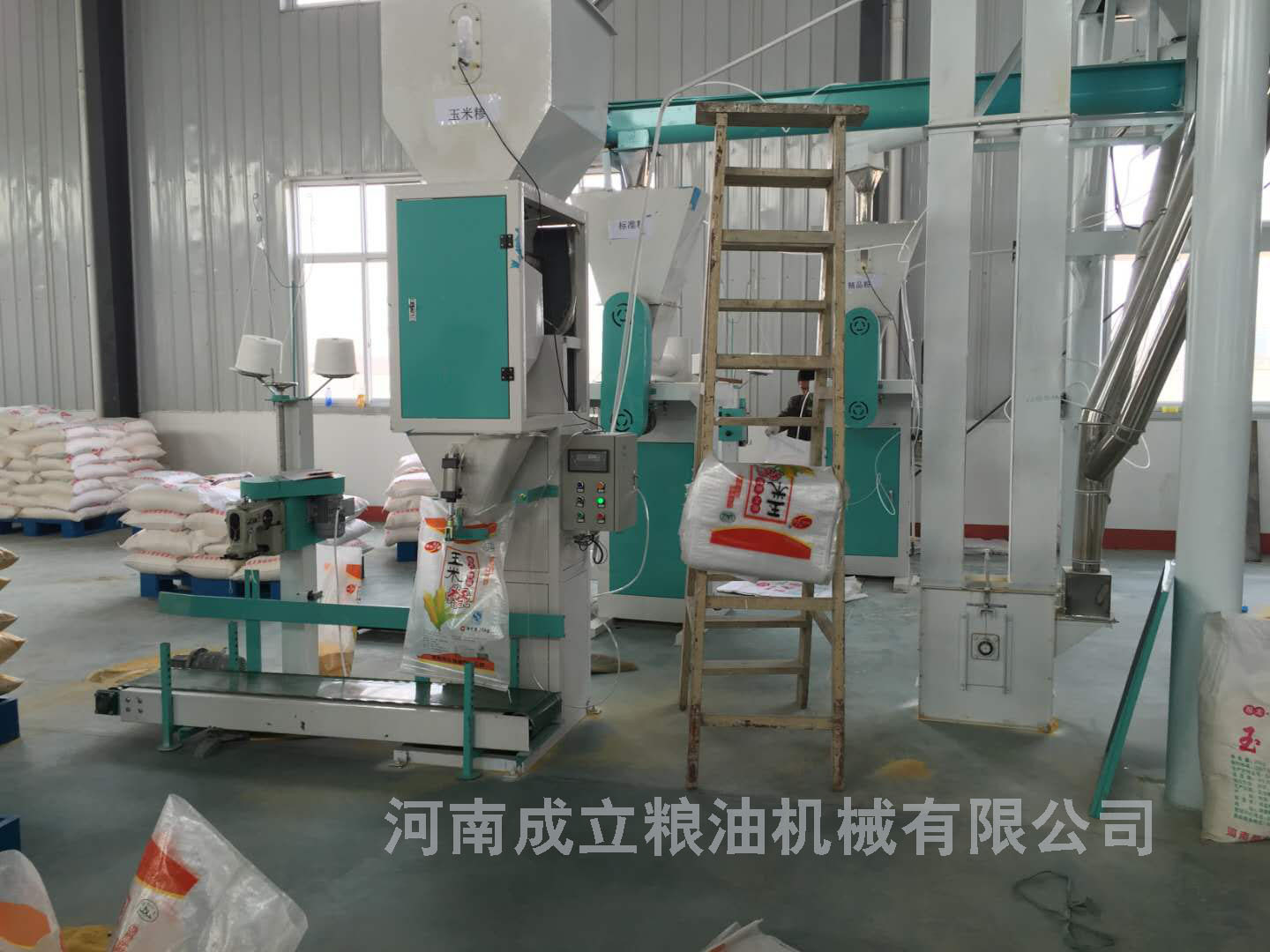 玉米脱皮机制糁机 苞米脱皮打碴子机 玉米加工设备一体机