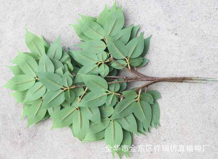 XRB-168涓冨瓙鑺卞彾涓夊弶鏋??