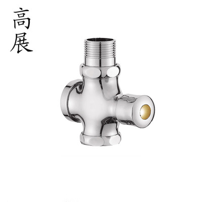 Gao Zhan Flushing valve Manufactor Direct selling Defecate Flushing valve delayed Flush valve Bodies dn20/25