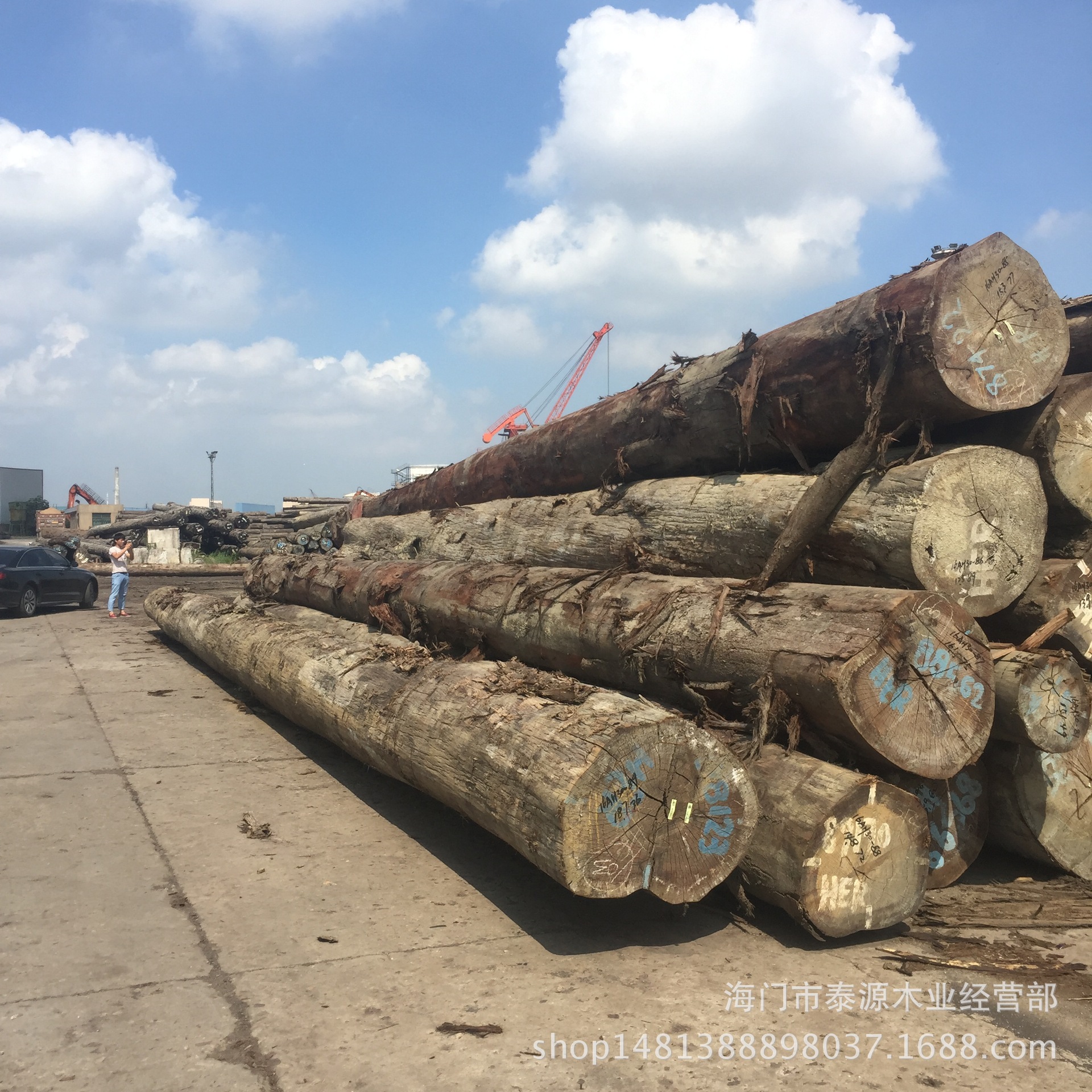 红胶木,水胶木,胶木产品(第10页)_大山谷图库