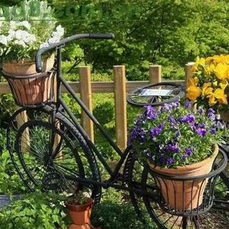 �����������۹���԰�ֵ���ʯ��СƷװ�ε��߹�԰����   �̵�