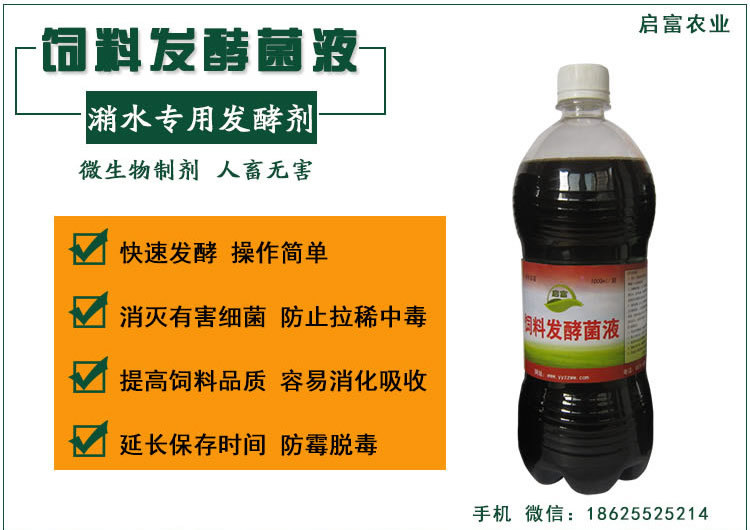 饲料发酵剂喂猪