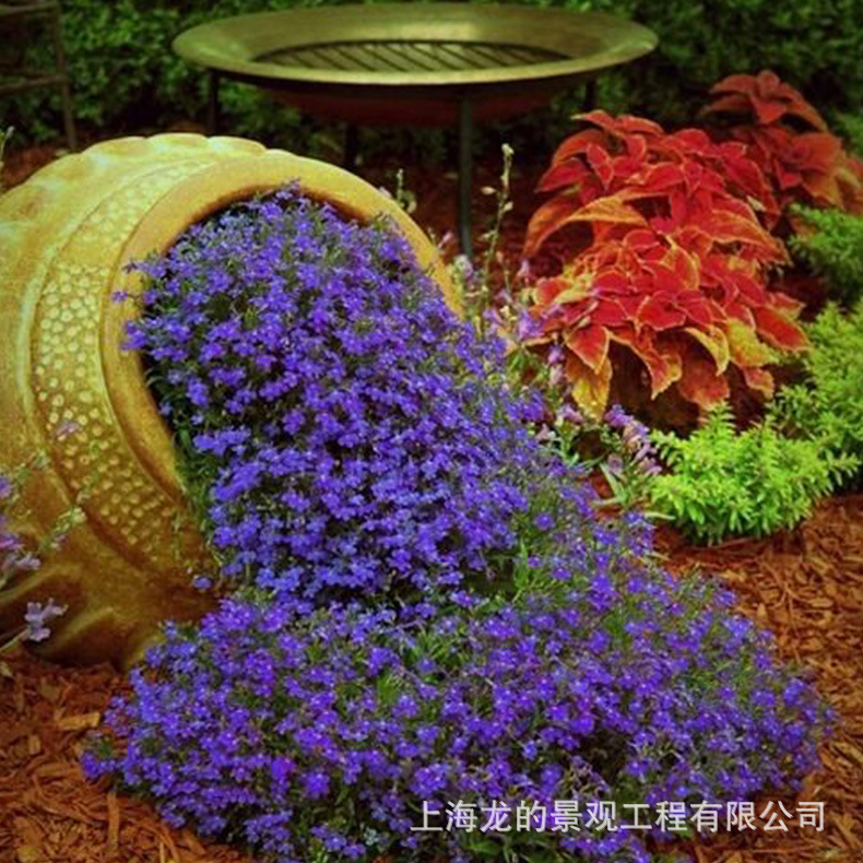 �����������¾���װ��СƷ|��������רҵ�ӹ�������|����ֱ����Ʒ