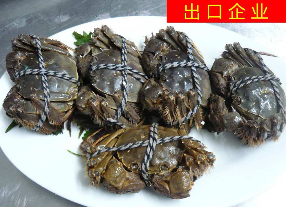 2334954360_919257385