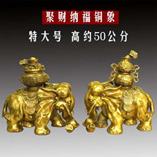 �ش�̖�~���ؔ�{�����߼s50�����Ԫ�����J�_�I���w�YƷ