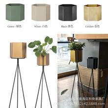 �S�����l���� ���W�O���S�~ɫ�Fˇ�������ǻ������_���