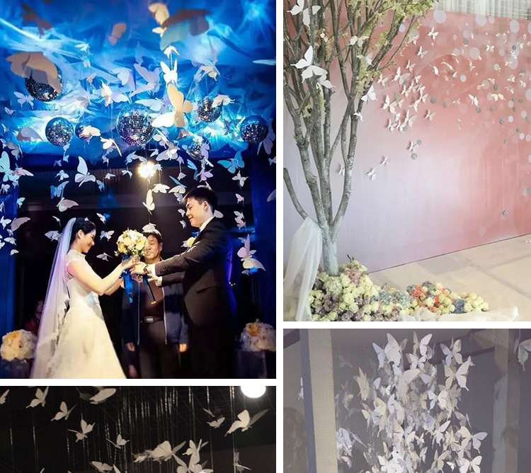 阿里巴巴-白蝴蝶单规格_09