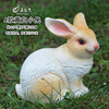 Rabbit, jewelry, decorations, animal model, resin, suitable for import